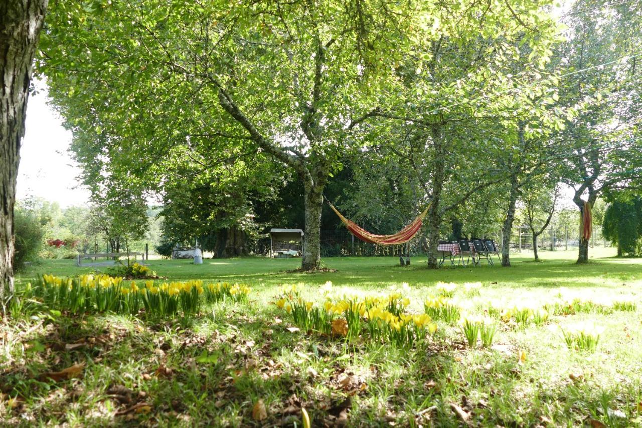 Neuvicq-Montguyon Le Logis Des Quatre Puits Bed & Breakfast エクステリア 写真